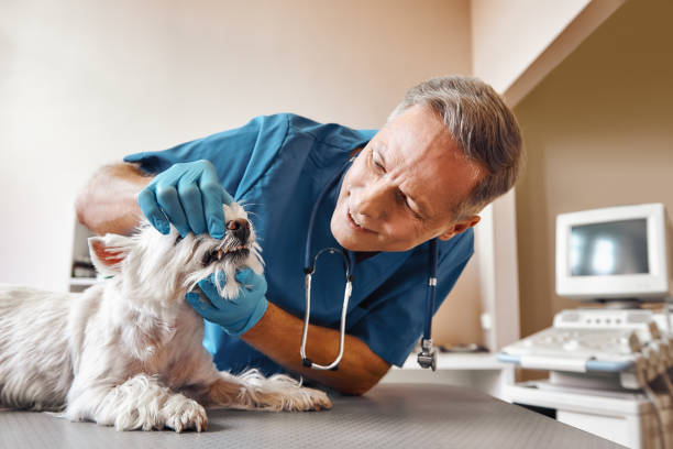  Buena Vista, VA Emergency Dentist Pros